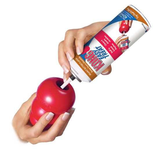 Kong Classic Rubber Chew Toy