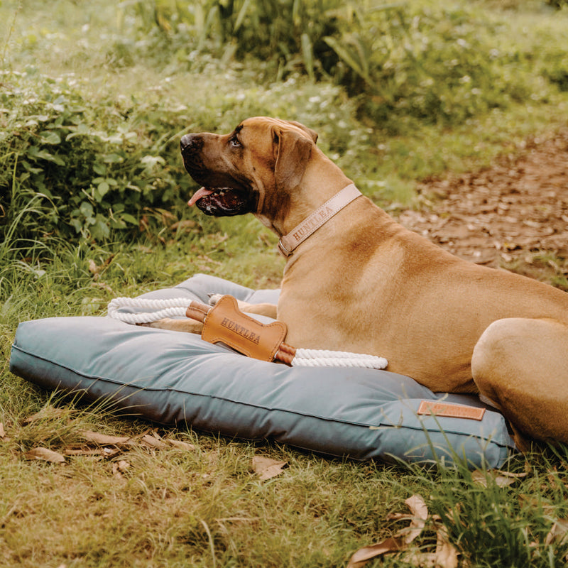Load image into Gallery viewer, Huntlea Dog Tug Toy with Leather Bone Centre
