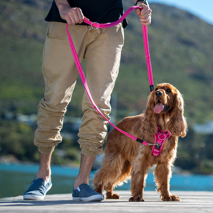 Rogz Utility Control Harness