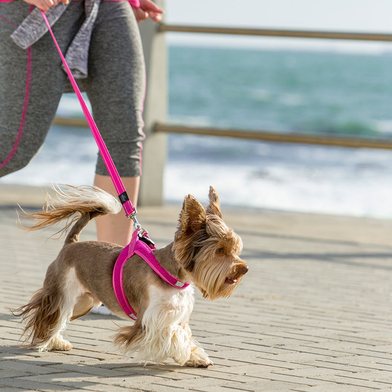 Load image into Gallery viewer, Rogz Utility Fast-Fit Harness
