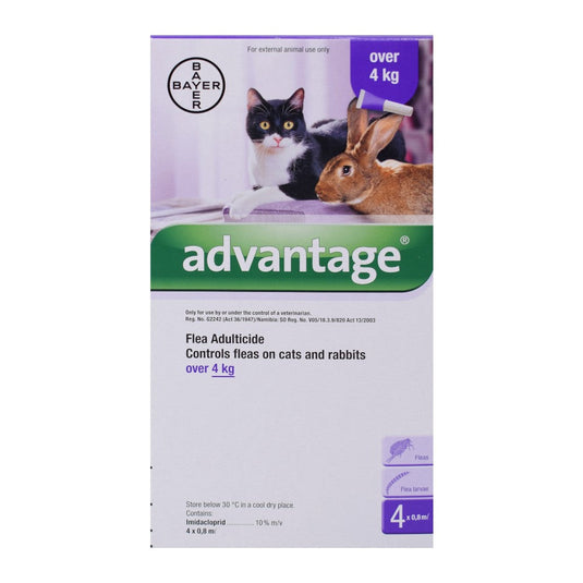 Advantage Spot On Cat and Rabbit [Sold Per Treatment]
