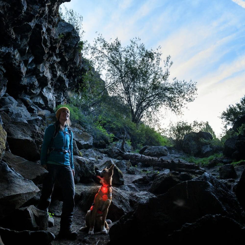 Load image into Gallery viewer, Ruffwear Beacon Safety Light

