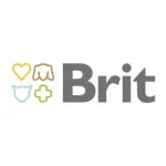 Brit Dog