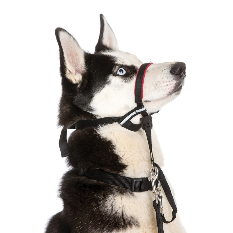 Load image into Gallery viewer, HALTI OptiFit
