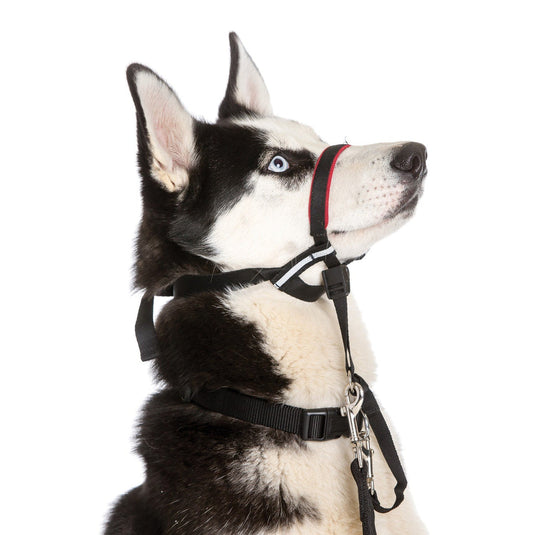 HALTI OptiFit