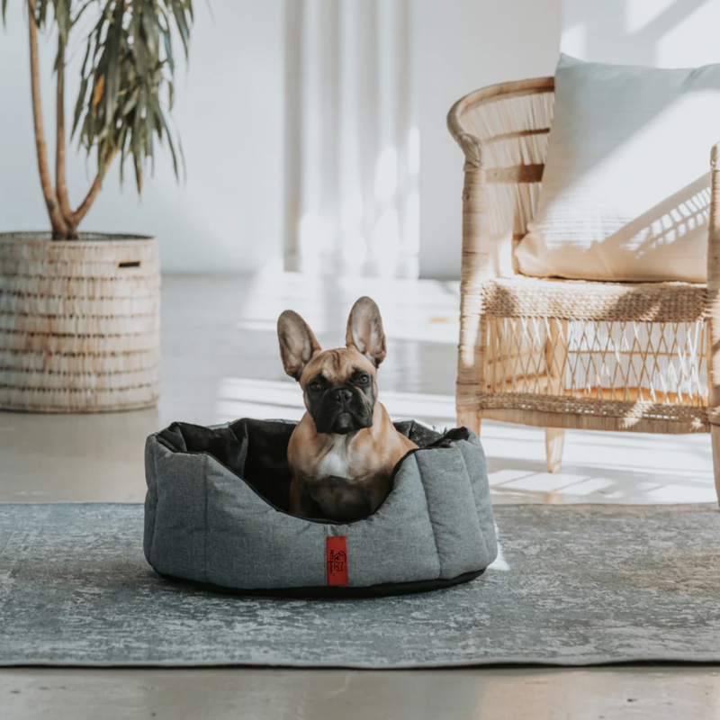 Load image into Gallery viewer, Pets Furever Tulip
