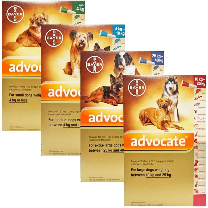 Advocate for Dogs