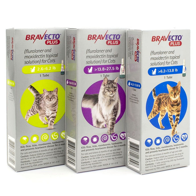 Bravecto PLUS Spot On for Cats