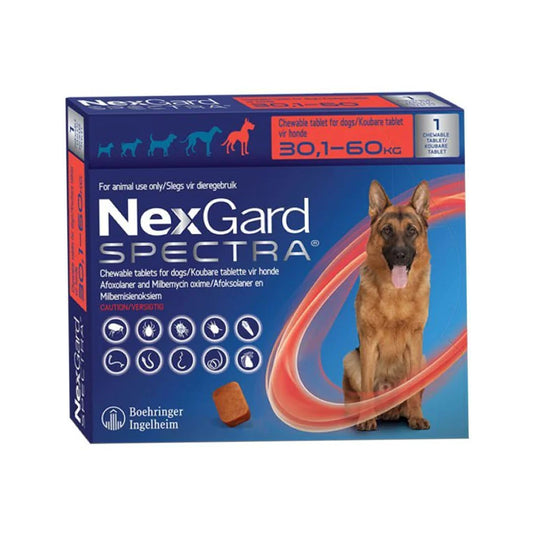 NexGard Spectra Chewable [Select as per your dog's weight] Sold per Tablet