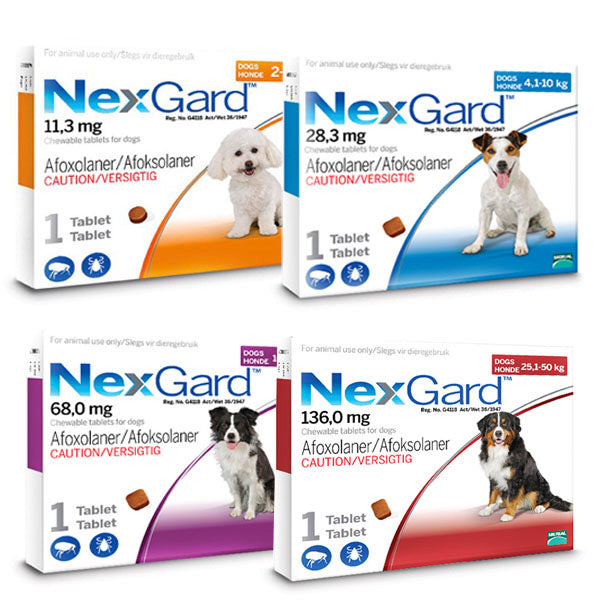 NexGard Chewable Tablet