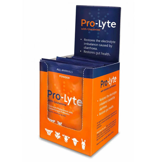Pro-Lyte Saches (sold per Sache)