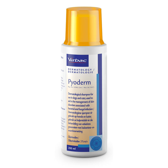 Pyoderm Shampoo for Skin Disorders