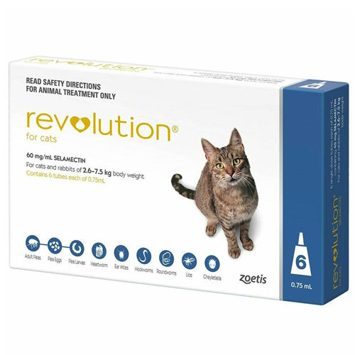 Revolution Cats