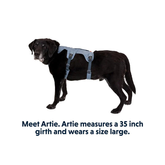 Ruffwear Webmaster Multi-Use Harness (New)