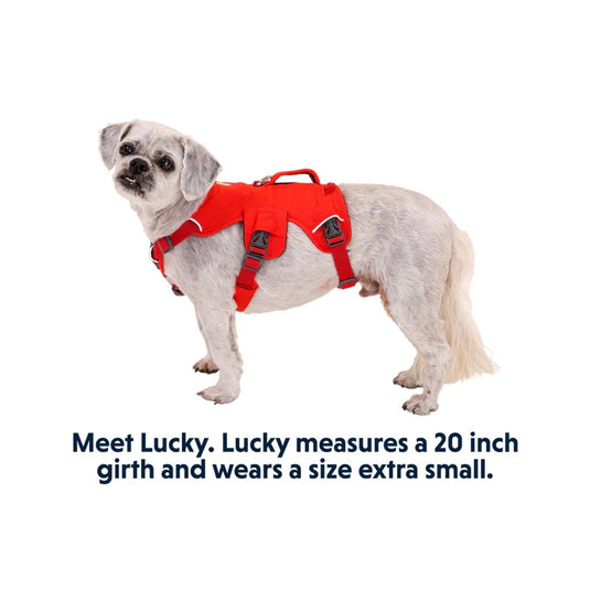 Ruffwear Webmaster Multi-Use Harness (New)