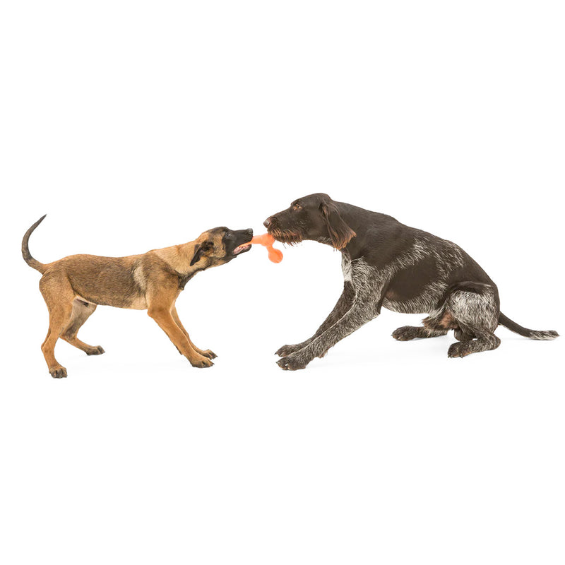 Load image into Gallery viewer, West Paw Skamp
