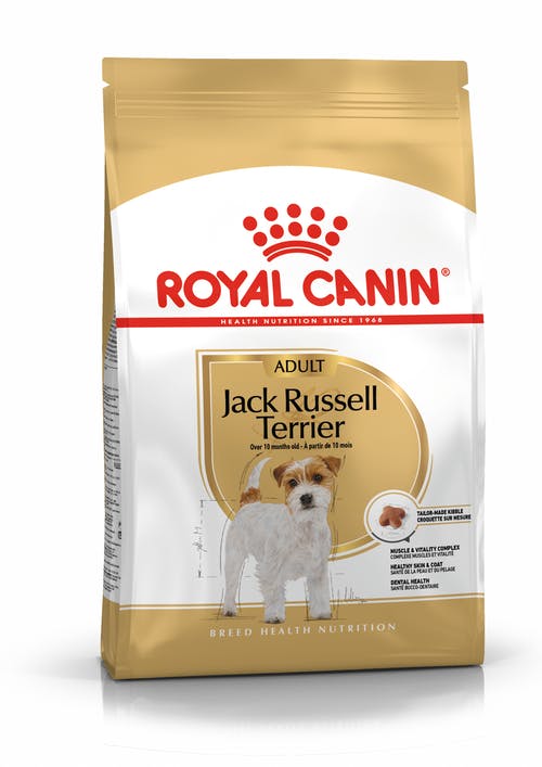 Royal Canin Adult Jack Russell