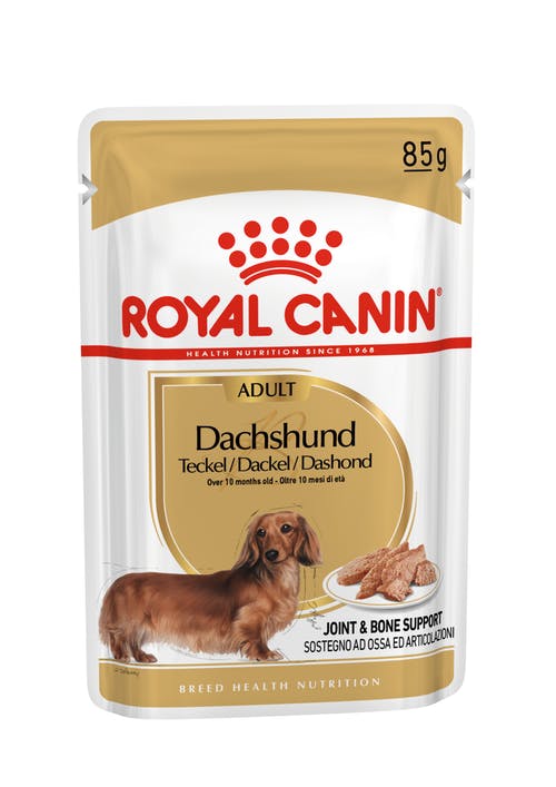 Royal Canin Dachshund Adult Pouch