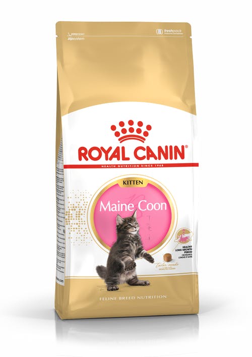 Royal Canin Kitten Maine Coon 31