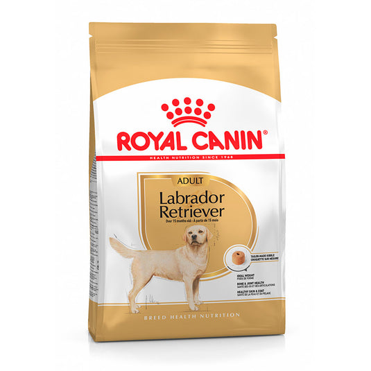 Royal Canin Labrador Retriever Adult