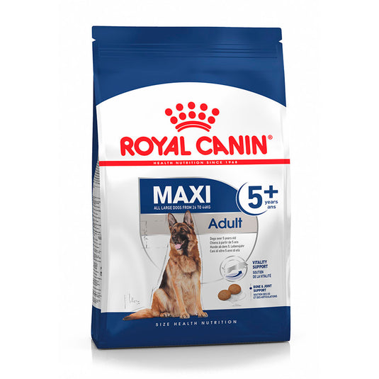 Royal Canin Maxi Adult 5+