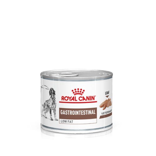 Royal Canin Gastro Intestinal Low Fat Canine Can