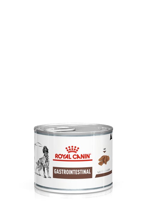 Royal Canin Gastro Intestinal Canine Can