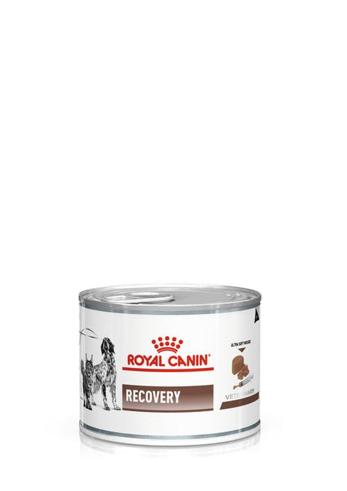 Royal Canin Recovery Canine/Feline Can