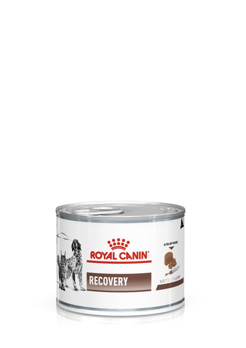 Royal Canin Recovery Canine/Feline Can