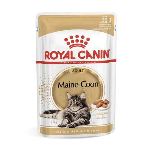 Royal Canin Maine Coon Adult Gravy